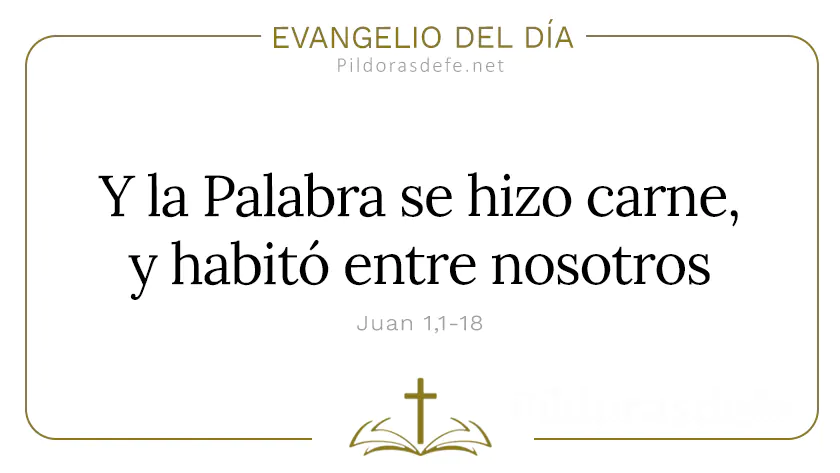 Evangelio del dia La Palabra se hizo Carne Juan    Cita Biblica   webp