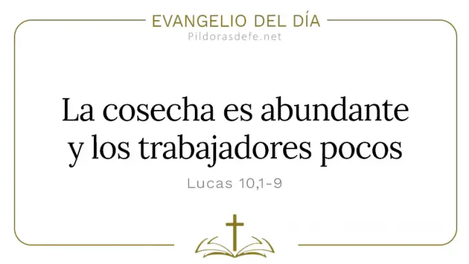 Evangelio del dia Lucas    La cosecha es abundante Cita Biblica   