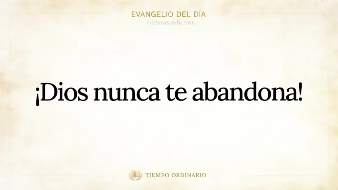 Evangelio del dia Lucas    Dios cuenta todos tus cabellos 