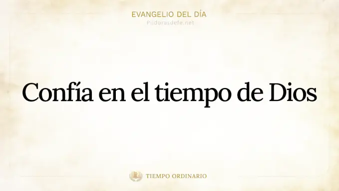 Evangelio del dia Lucas    La semilla crecio en arbusto grande 