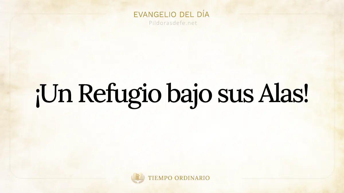 Evangelio del dia Lucas    Un refugio bajo sus alas webp