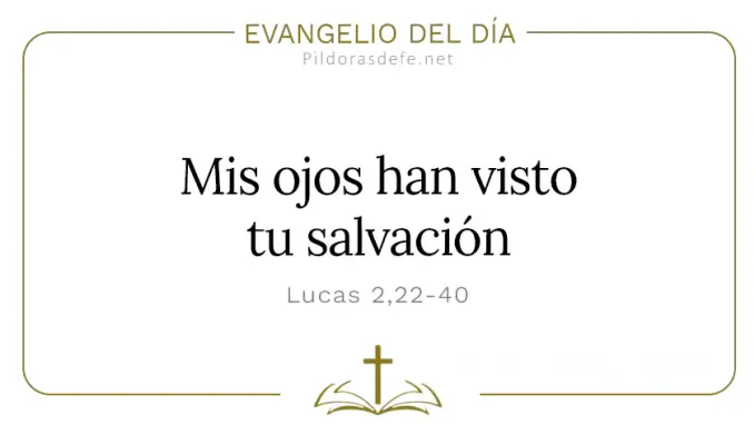 Evangelio del dia Lucas    Presentacion del Senor Cita Biblica  feb 