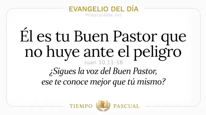 Evangelio del dia Lunes Juan    Jesus es Buen Pastor  abril 