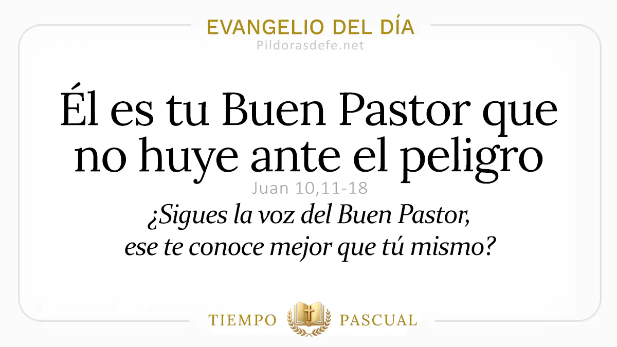 Evangelio del dia Lunes Juan    Jesus es Buen Pastor  abril webp