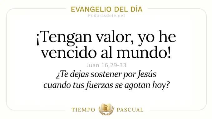 Evangelio del dia Lunes Juan    Yo he vencido al mundo  may 