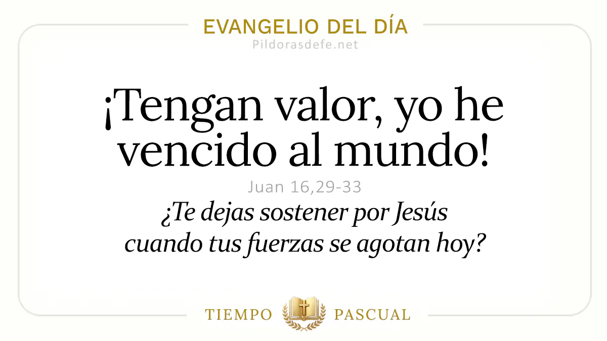 Evangelio del dia Lunes Juan    Yo he vencido al mundo  may webp