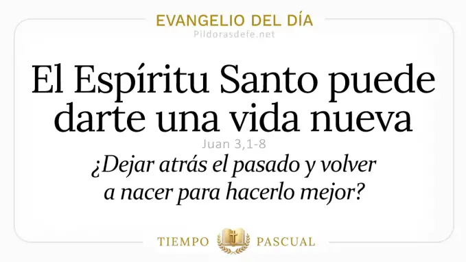 Evangelio del dia Lunes Juan    Nacer de nuevo de Espiritu  Abril 