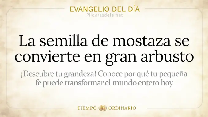 Evangelio del dia Lunes Mateo    la semilla de mostaza se transforma en arbusto  jul 