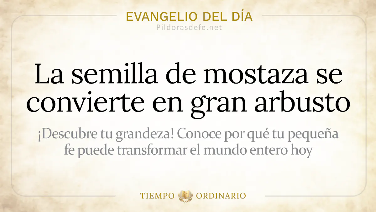 Evangelio del dia Lunes Mateo    la semilla de mostaza se transforma en arbusto  jul webp