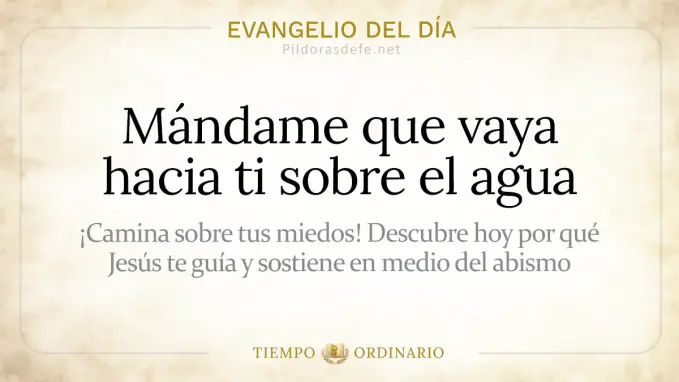 Evangelio del dia Lunes Mateo    Mandame que vaya hacia sobre el agua  Agosto 