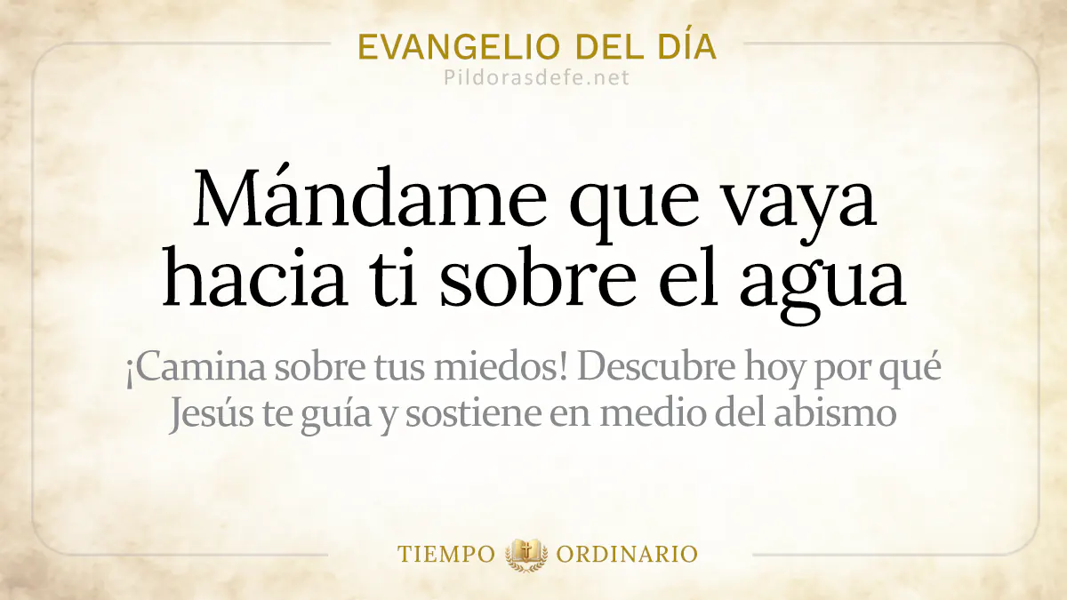 Evangelio del dia Lunes Mateo    Mandame que vaya hacia sobre el agua  Agosto webp