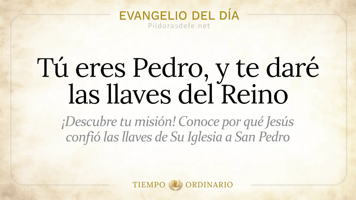 Evangelio del dia Lunes Mateo    Tu eres Pedro  jun webp