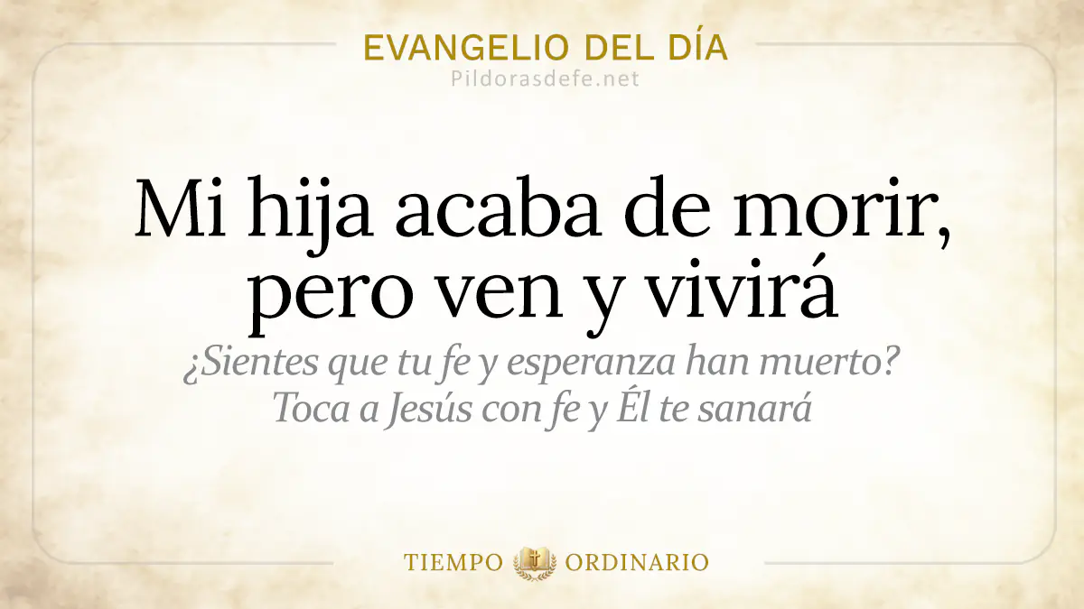 Evangelio del dia Lunes Mateo    Mi hija acaba de morir ven y vivira  jul webp