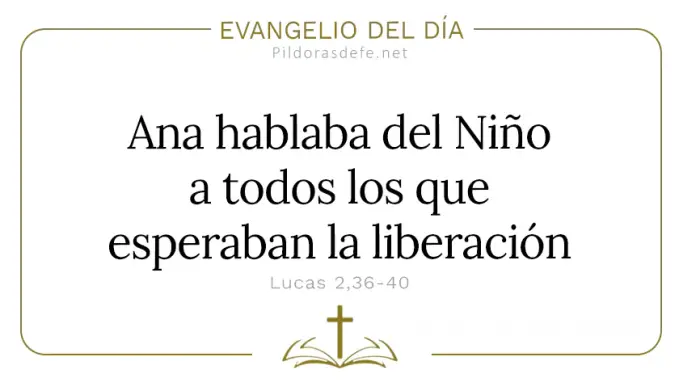 Evangelio del dia Luz Ana hablaba del Nino a todos Lucas    Cita Biblica   