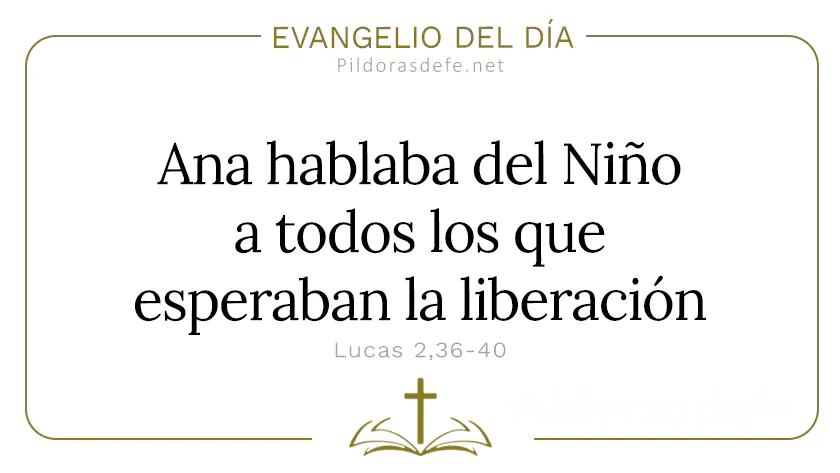 Evangelio del dia Luz Ana hablaba del Nino a todos Lucas    Cita Biblica   webp