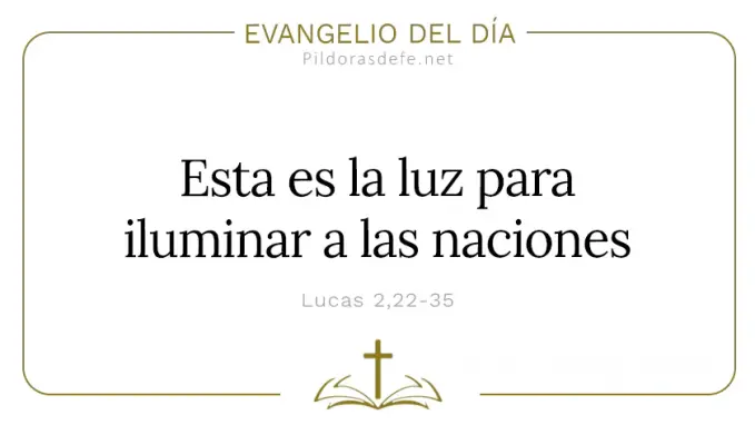 Evangelio del dia Luz para Iluminar a las naciones Lucas Cita Biblica Evangelio del dia Luz para Iluminar a las naciones Lucas Cita Biblica