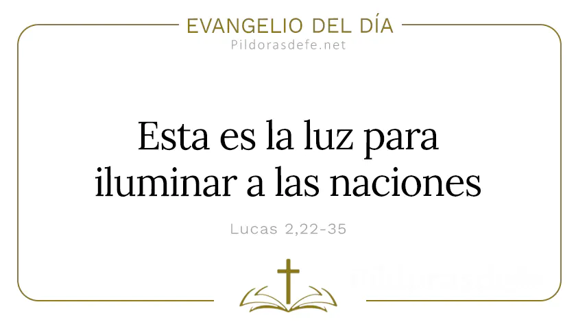 Evangelio del dia Luz para Iluminar a las naciones Lucas    Cita Biblica   webp
