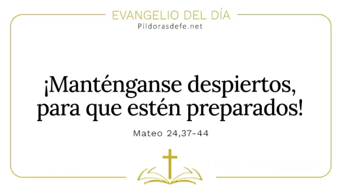Evangelio del dia Mantenganse despiertos Mateo    Cita Biblica   