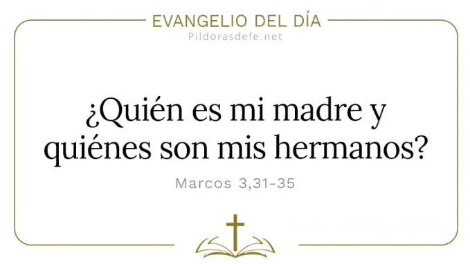 Evangelio del dia Marcos Quien es mi madre hermanos Cita Biblica Evangelio del dia Marcos Quien es mi madre hermanos Cita Biblica