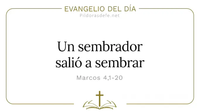 Evangelio del dia Marcos    Sembrador salio a sembrar Cita Biblica   