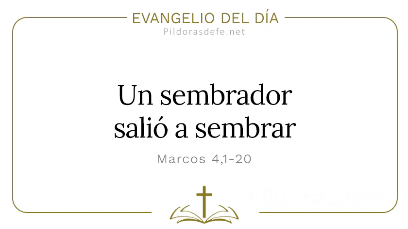 Evangelio del dia Marcos    Sembrador salio a sembrar Cita Biblica   webp