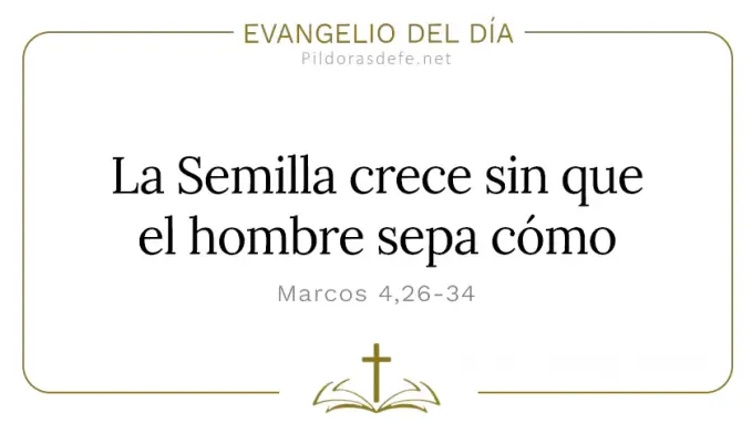 Evangelio del dia Marcos Semilla brota crece sin que el sepa Cita Biblica Evangelio del dia Marcos Semilla brota crece sin que el sepa Cita Biblica