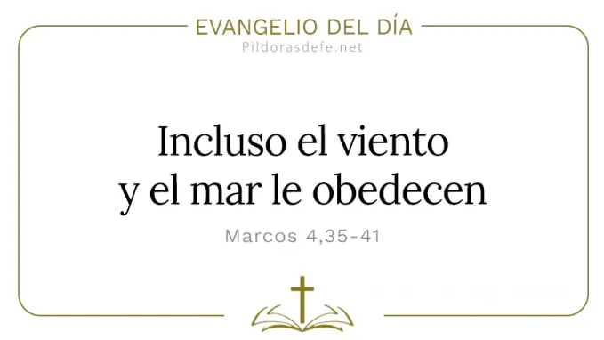 Evangelio del dia Marcos    Incluso viento y mar le obendecen Cita Biblica   