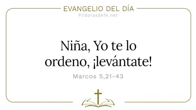 Evangelio del dia Marcos    Nina te lo ordeno levantate Cita Biblica  feb 