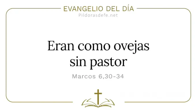 Evangelio del dia Marcos    Eran como ovejas sin pastor  feb 