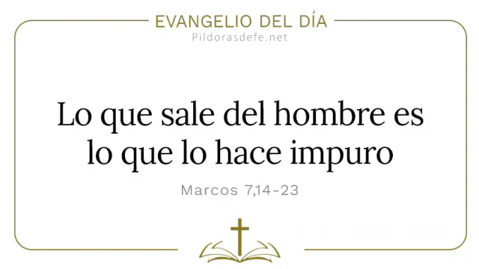 Evangelio del dia Marcos    Lo que sale del hombre lo hace impuro  feb 