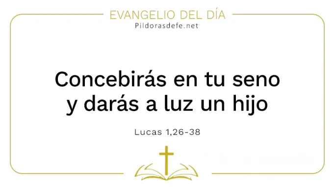Evangelio del dia Maria Reina del Universo daras luz a un hijo Lucas    Cita Biblica   