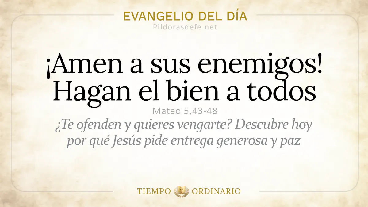 Evangelio del dia Martes Amen a sus enemigos Hagan el bien  jun webp