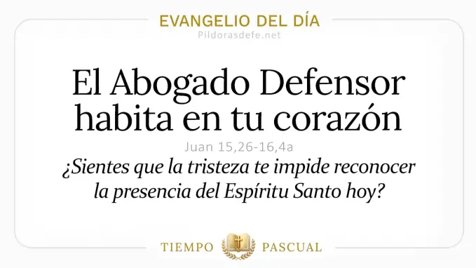 Evangelio del dia Martes Juan    El Abogado Defensor vendra  mayo 