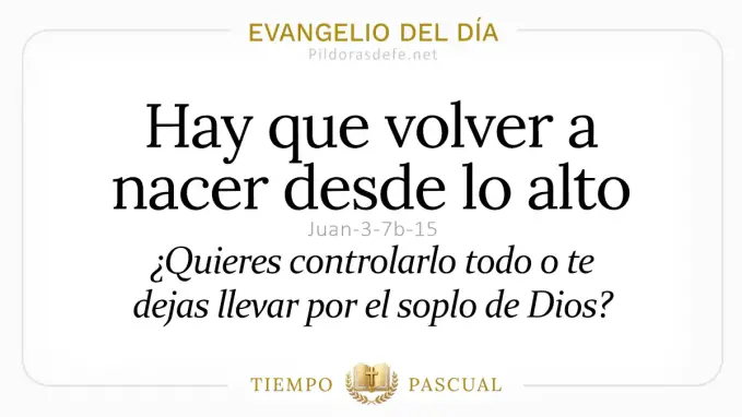 Evangelio del dia Martes Juan  b  volver a nacer desde lo alto  Abril 