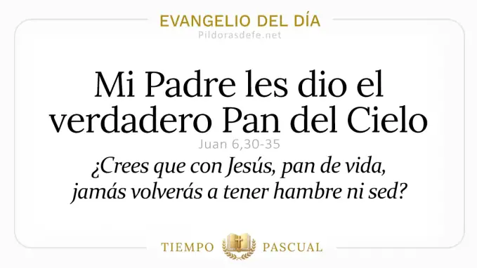 Evangelio del dia Martes Juan    Mi Padre les dio Pan del Cielo  Abril 
