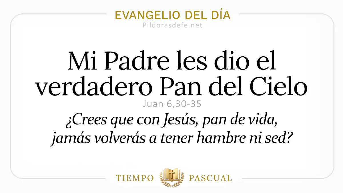 Evangelio del dia Martes Juan    Mi Padre les dio Pan del Cielo  Abril webp