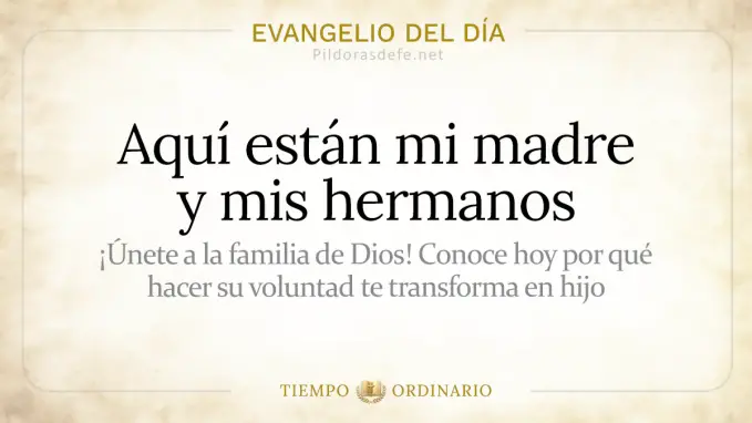 Evangelio del dia Martes Mateo    Aqui estan mi Madre y mis hermanos  jul 