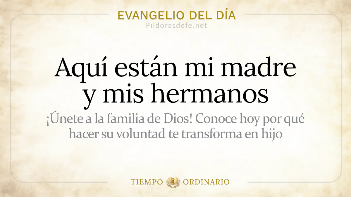 Evangelio del dia Martes Mateo    Aqui estan mi Madre y mis hermanos  jul webp