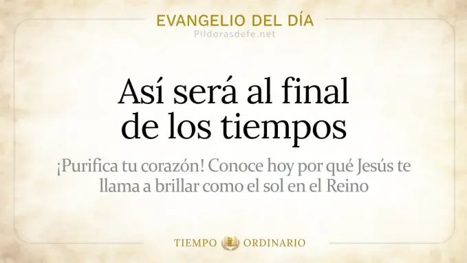 Evangelio del dia Martes Mateo    Asi sera al final de los tiempos  jul 