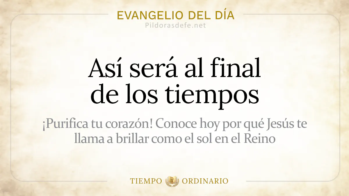 Evangelio del dia Martes Mateo    Asi sera al final de los tiempos  jul webp