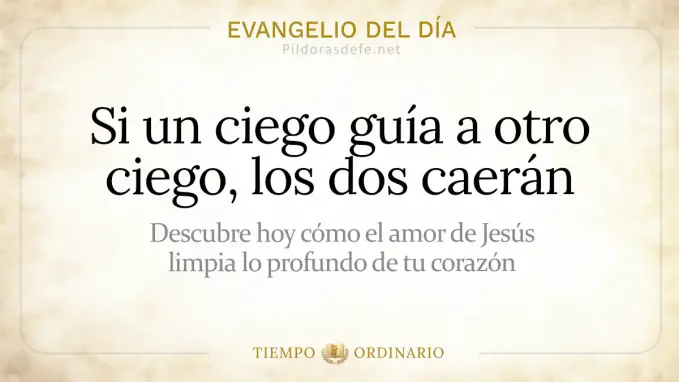 Evangelio del dia Martes Mateo      Si un ciego guia a otro  Agosto 