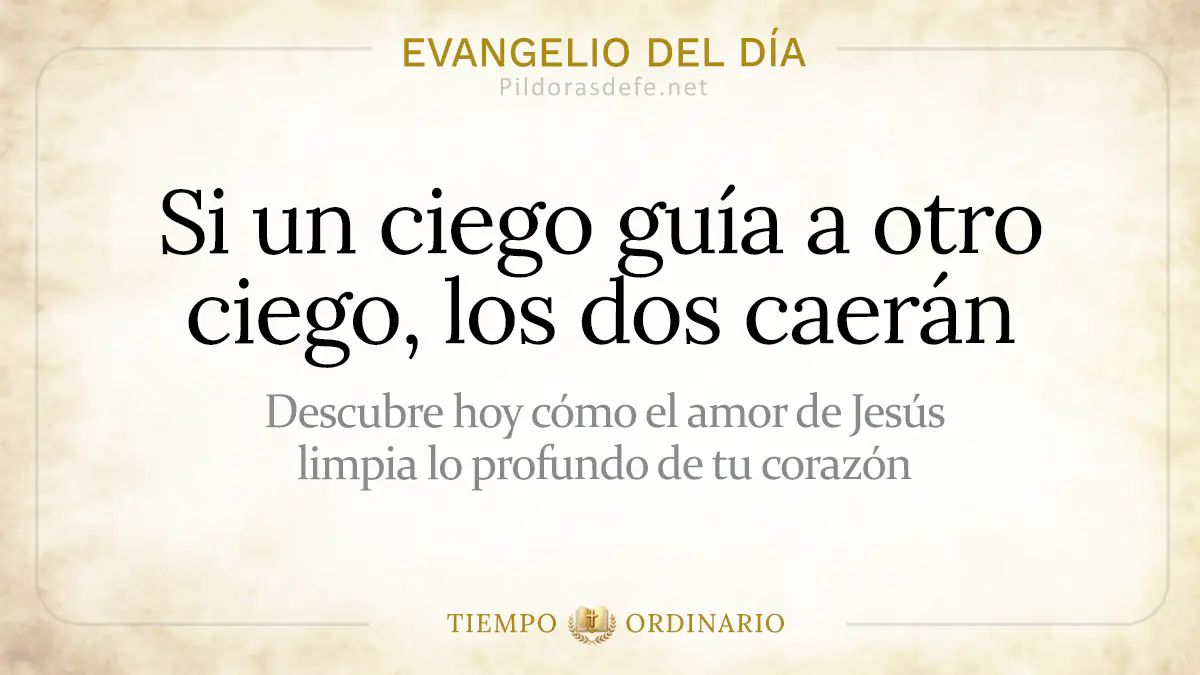 Evangelio del dia Martes Mateo      Si un ciego guia a otro  Agosto webp