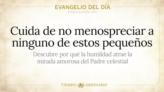 Evangelio del dia Martes Mateo    No menospreciar a los pequenos 