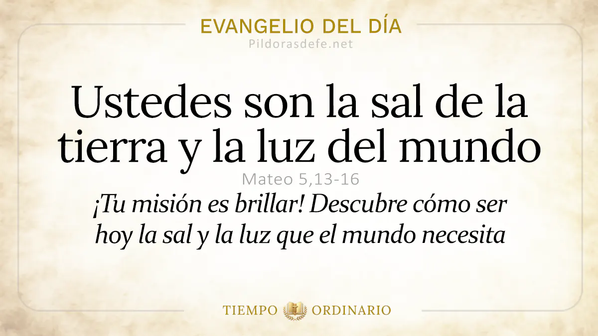 Evangelio del dia Martes Mateo    Ustedes son sal y luz  jun webp