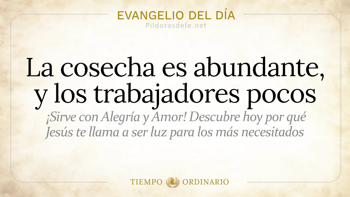 Evangelio del dia Martes Mateo    Cosecha abundante trabajadores pocos  jul webp