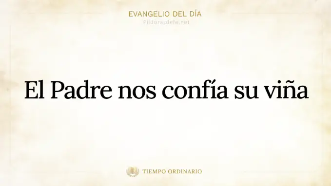 Evangelio del dia Mateo    El Padre nos confia su vina 