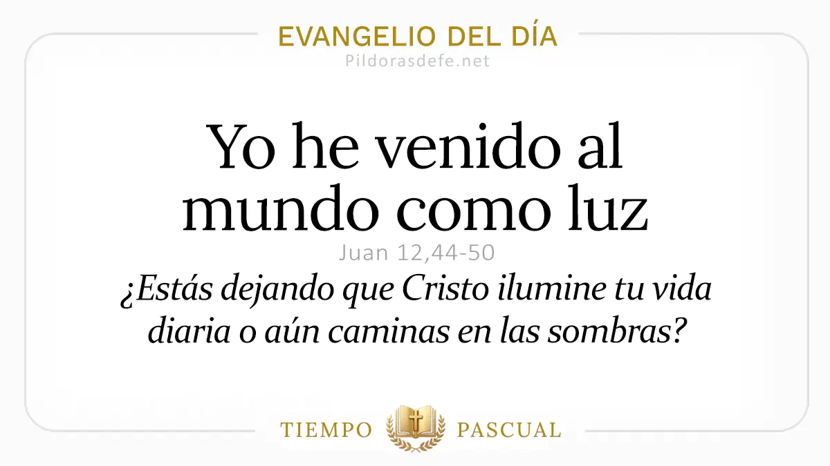Evangelio del dia Miercoles Juan    Yo soy la luzwebp  abril webp