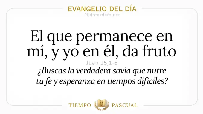 Evangelio del dia Miercoles Juan    Quien permanece en mi da fruto  mayo 