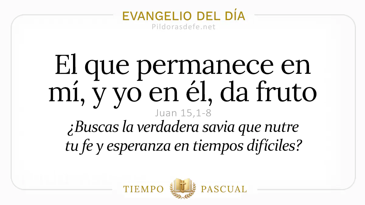 Evangelio del dia Miercoles Juan    Quien permanece en mi da fruto  mayo webp