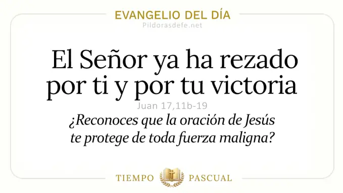 Evangelio del dia Miercoles Juan  b  El Senor ya ha rezado por ti  may 